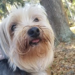 Meet your Posher, Lillian